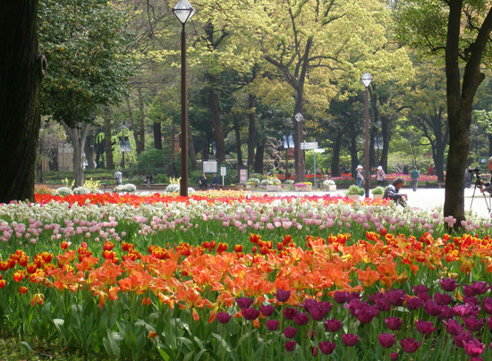 横浜公園の春.jpg
